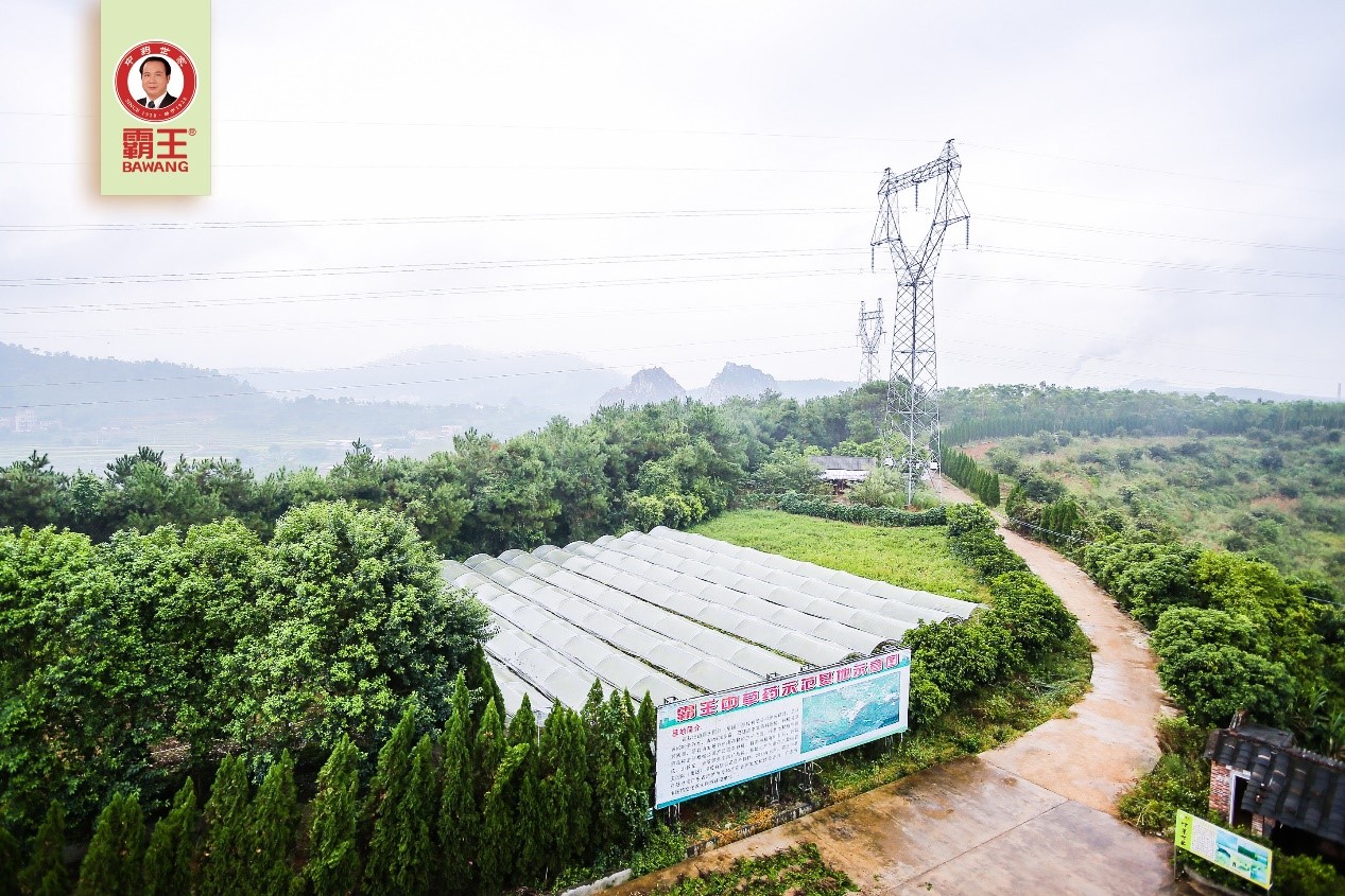 “买买买”有保障！京东溯源检查团带你探访霸王洗发水品质源头