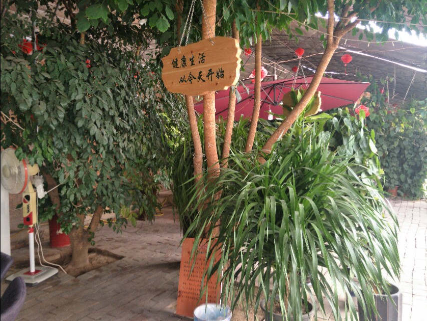 金色阳光幼儿园视频,金色阳光幼儿园有限公司