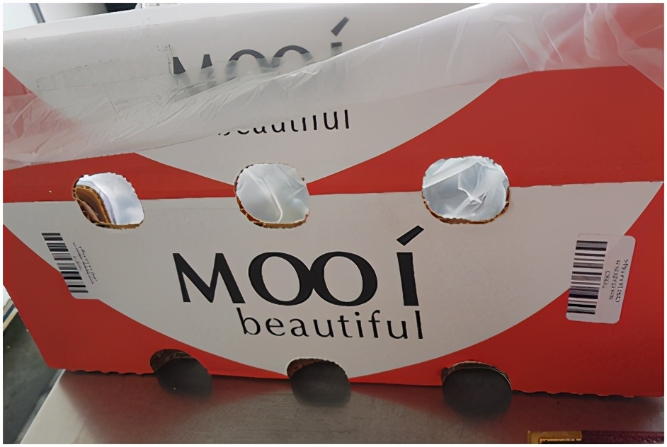 进口提子哪些品种 (进口提子品种及图解)