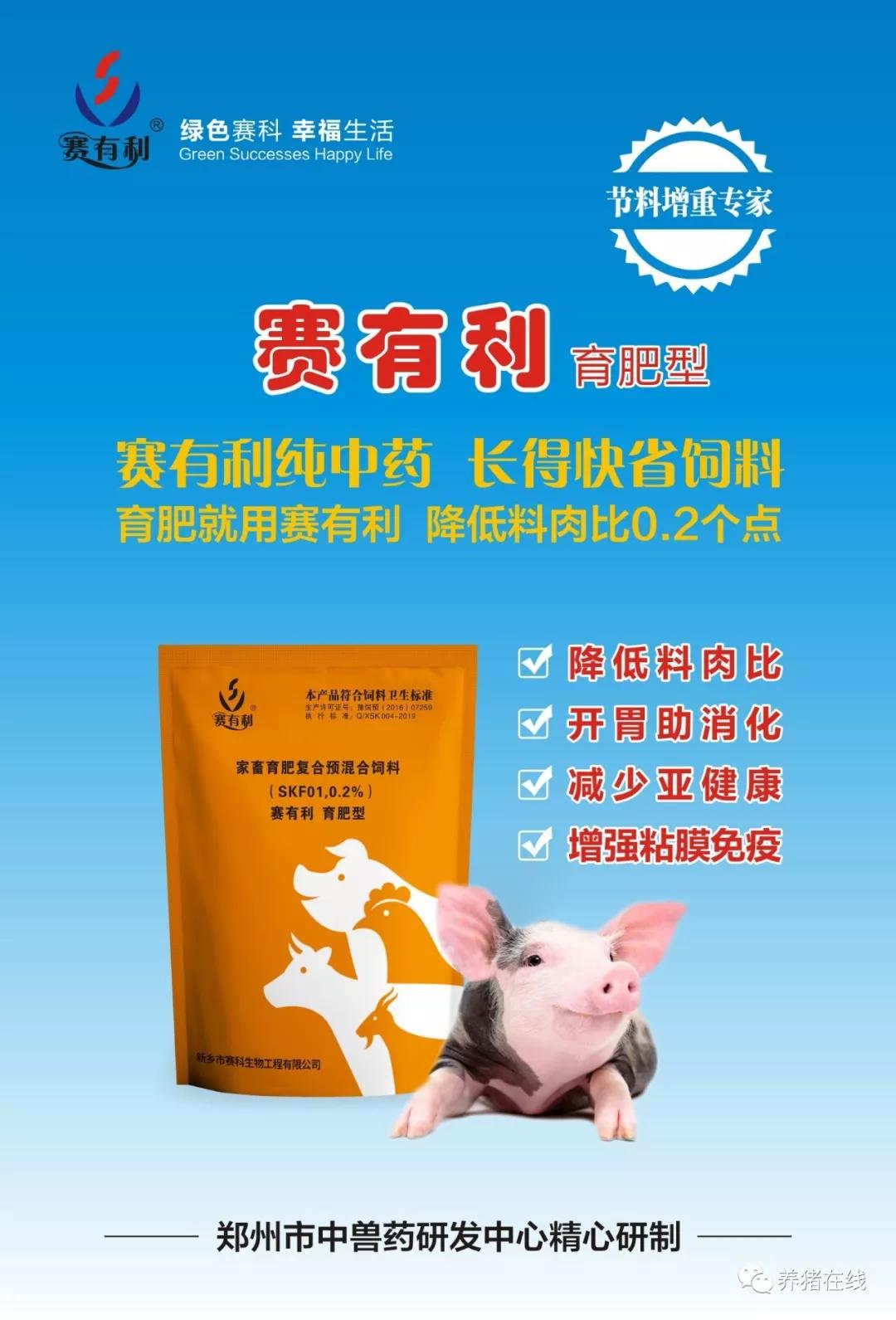 「技术」母猪发情时间的判断直接影响产仔数，如何鉴别发情？