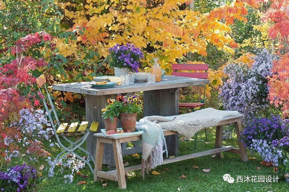 如果气温变冷需要准备什么,温度降到几度花搬到室内