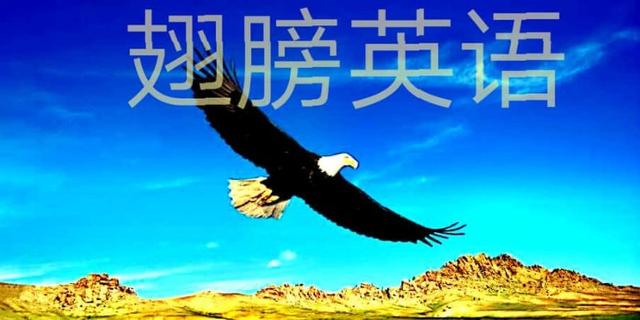 高中所有英语扩展单词,高中英语总共有多少个句型