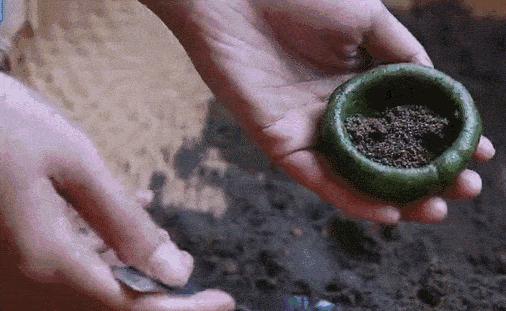 不时不食|有一种念念不忘，叫做青团