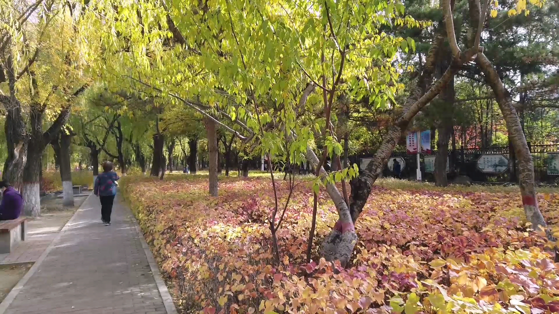 呼和浩特满都海公园晚上,呼和浩特市满都海公园有什么特点