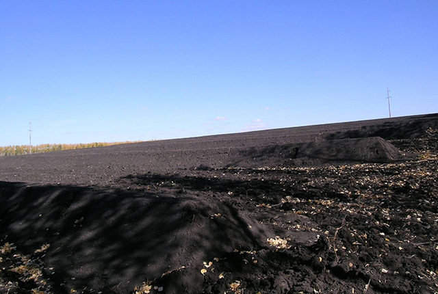 近年东北黑土地恢复现状如何,东北黑土地问题改善