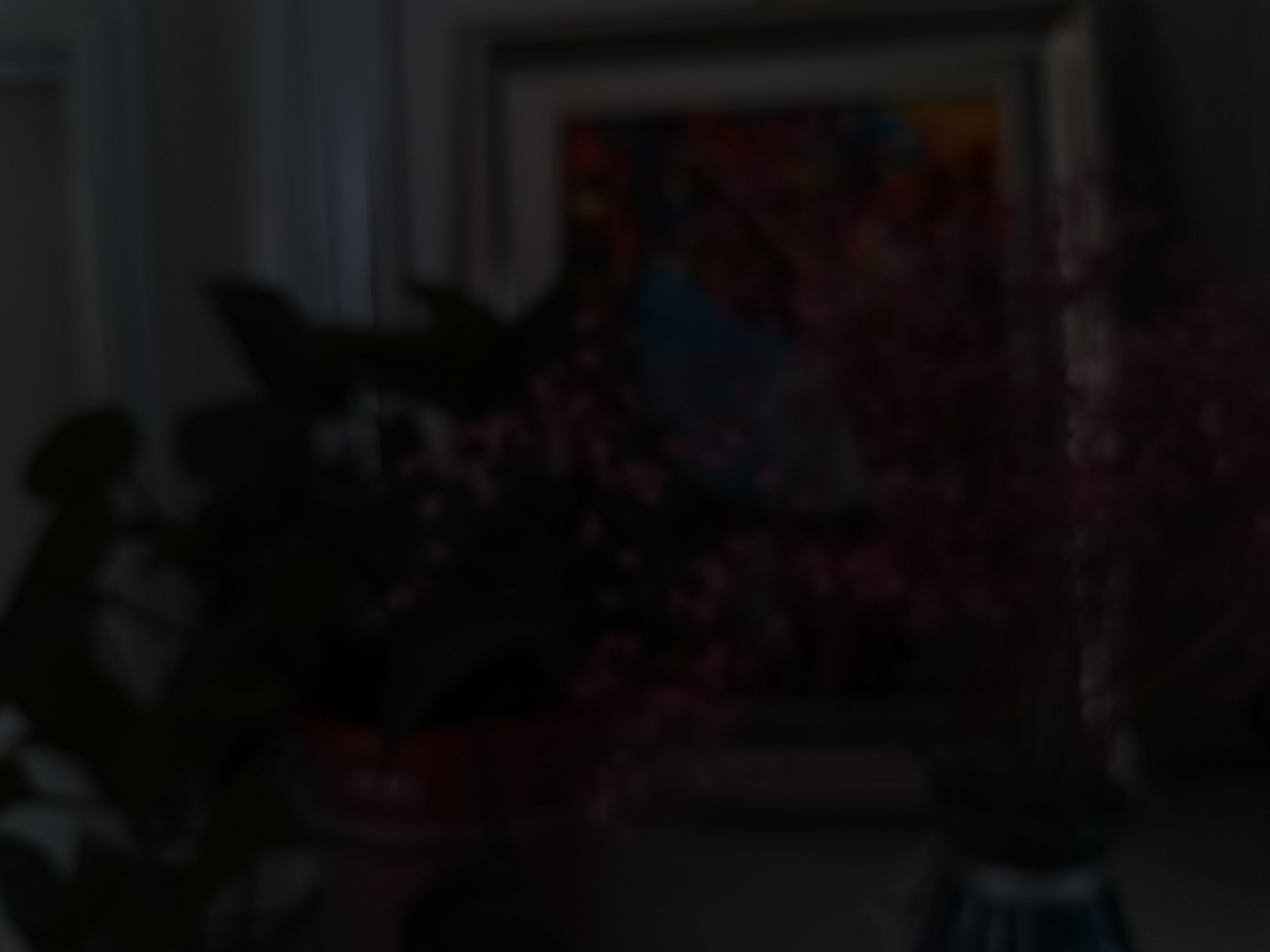 荣耀30s放大20倍拍照评测,荣耀30s测评大米