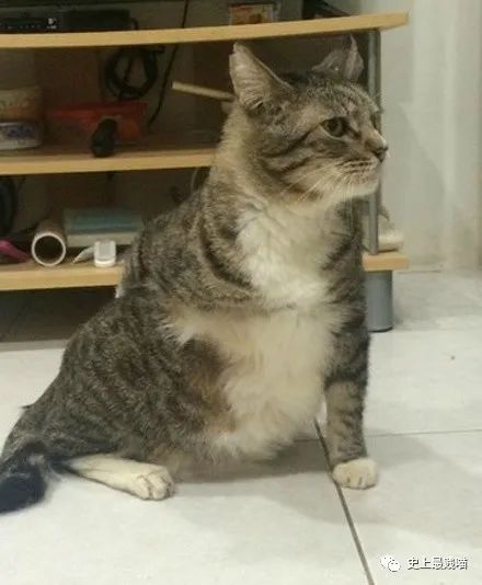 第一次看到把抖m说的这么清新脱俗的...实在太形象了哈哈哈哈哈！