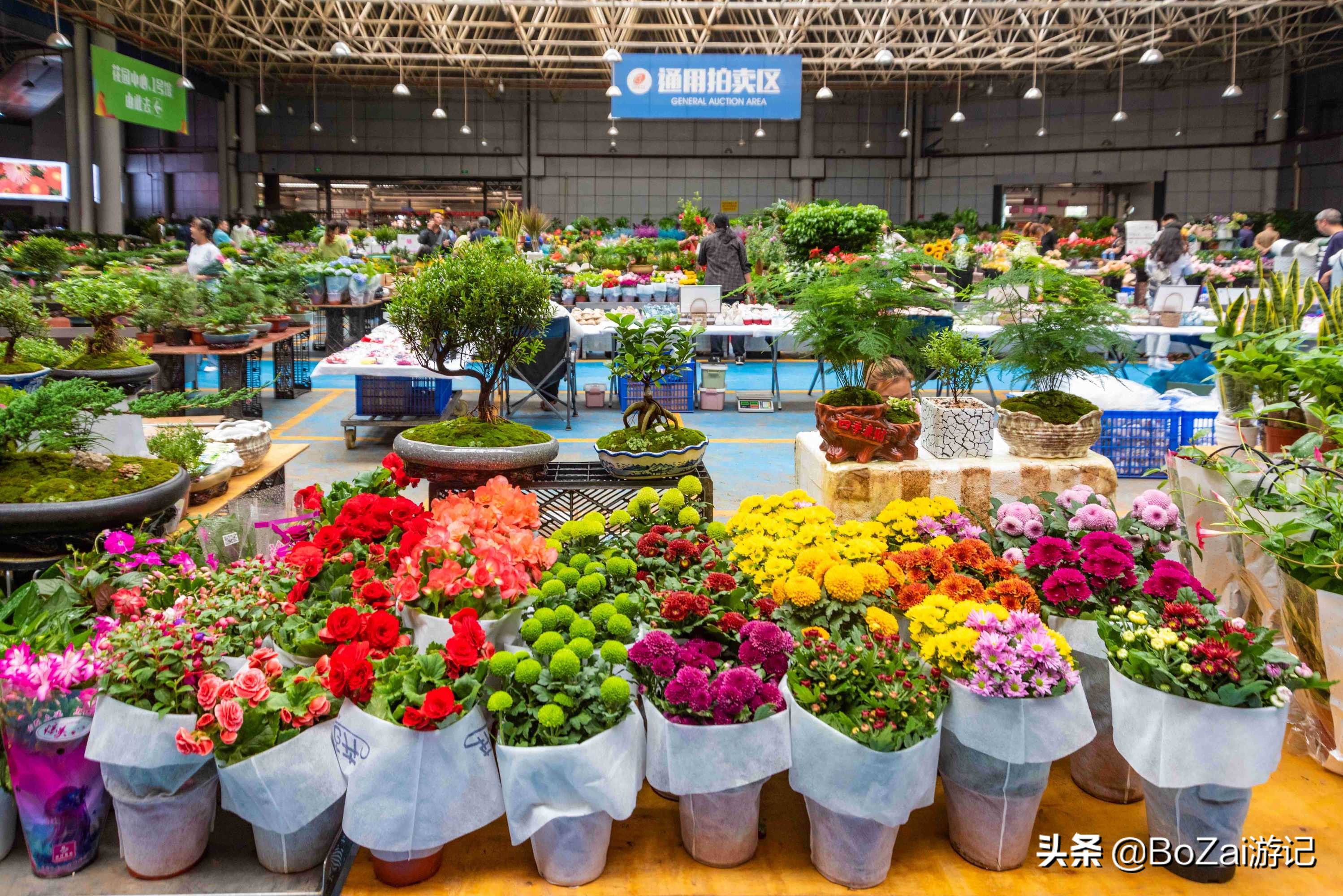 云南昆明周边旅游三天攻略,去云南昆明旅游景点推荐一下