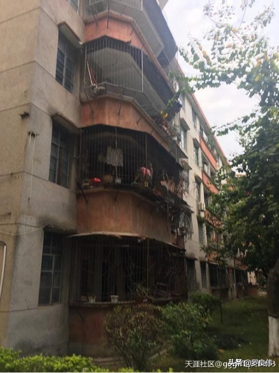 寻觅第二集,寻觅32集预告