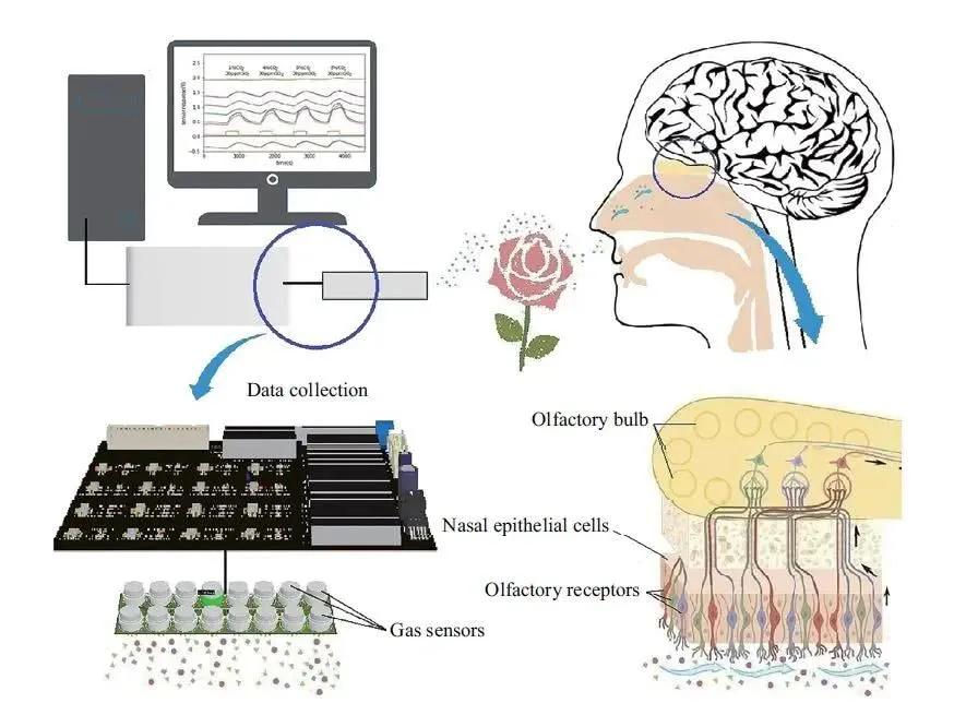 印刷与柔性传感器,五种印刷产业新技术