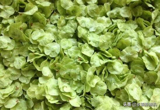 适合乡镇创业的项目小本生意,最有前景的创业项目乡镇创业