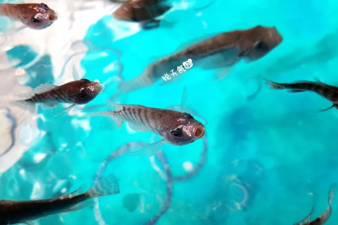 不一样的厦门,不一样的厦门环岛路