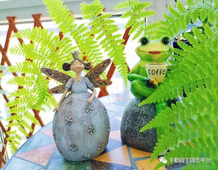 （2021）园丁奖阳台组《008号》星星的花园