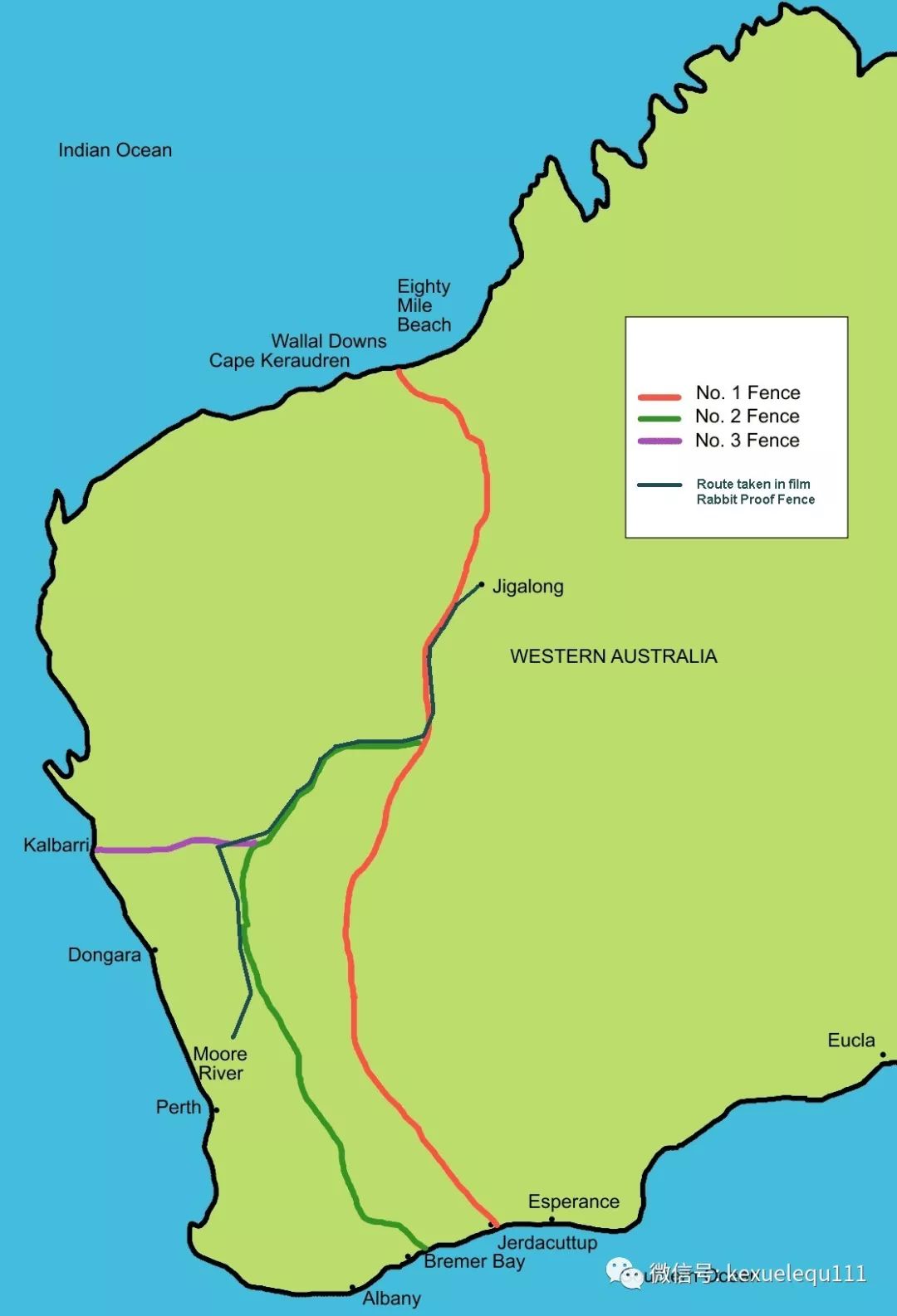 杀死兔子的方法,杀死兔子有什么后果