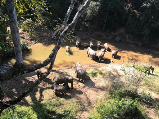 西双版纳风景之旅自由行旅游攻略,邂逅雨林西双版纳秘境之旅