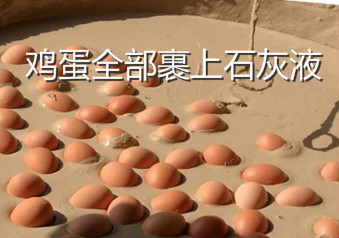 自己在家变蛋视频教程,河南变蛋的制作方法和配方