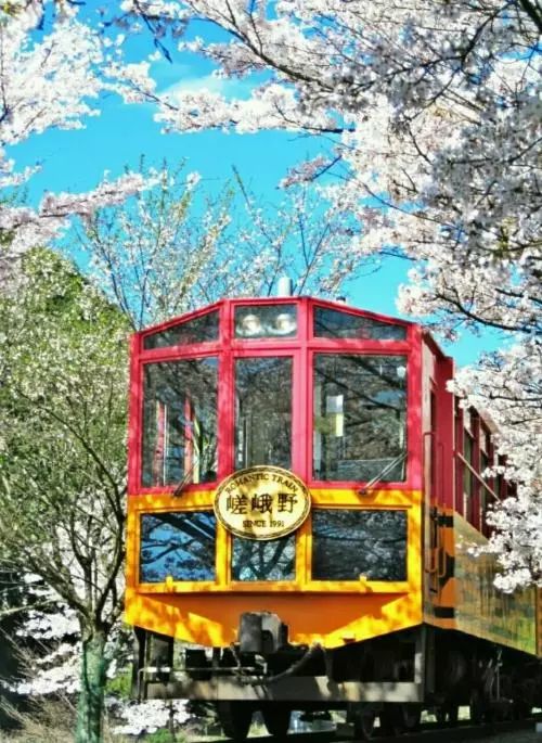 短、平、快、爆！那些蹿红网络的景区二消业态大汇总