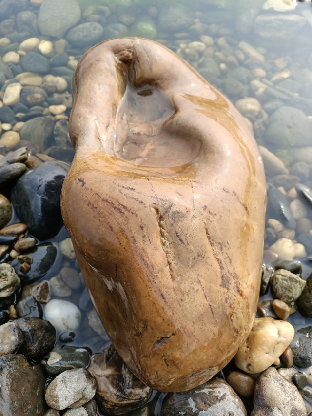 4名外国人涉嫌违反北京疫情防控政策，不准入境