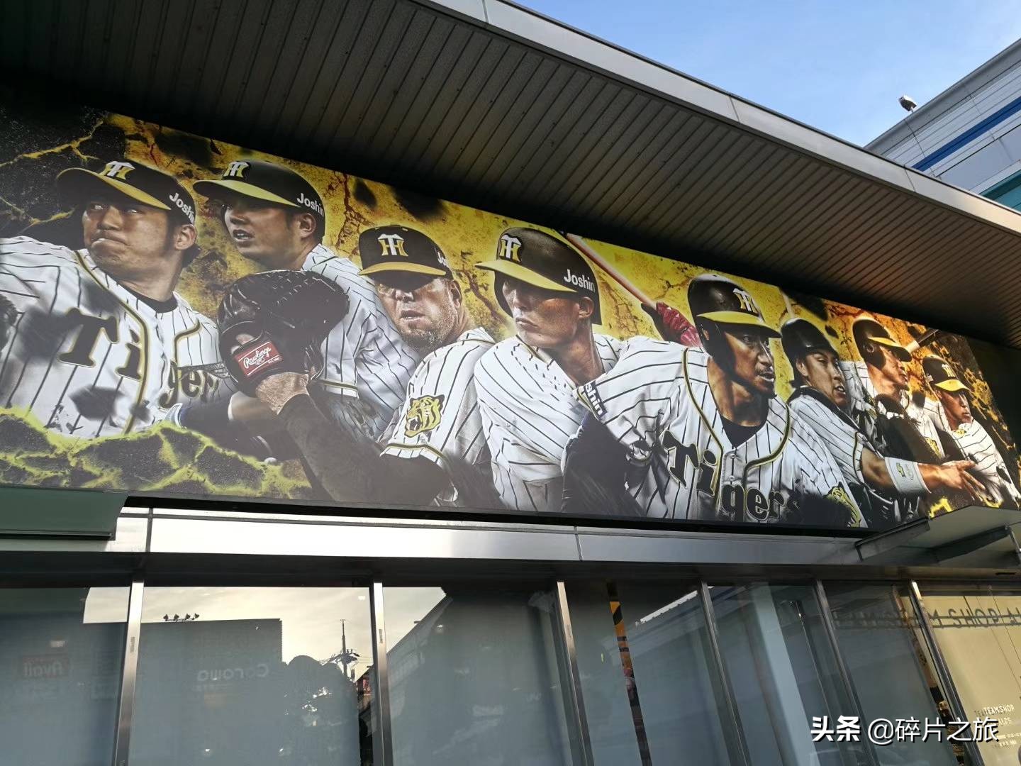 上海游轮去日本攻略,上海去日本的邮轮旅游攻略