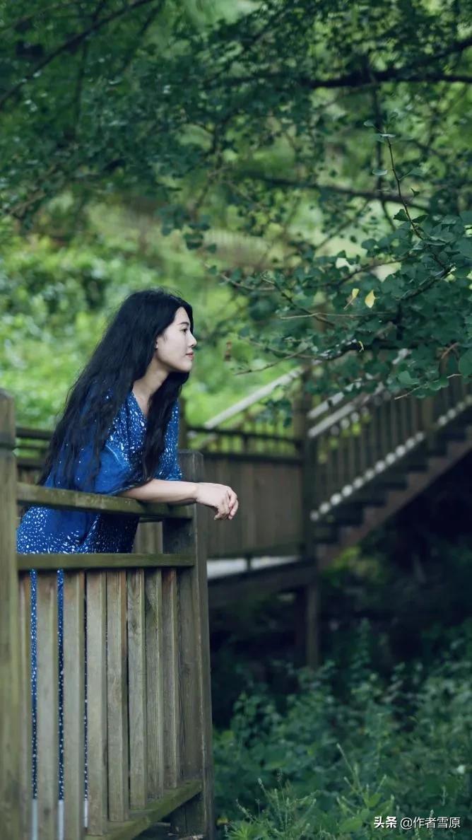 散文欣赏我的梦,散文我的梦原文