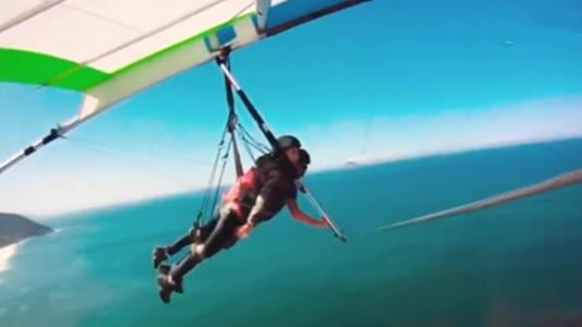 苗圃多有钱,苗圃个人资产多少钱