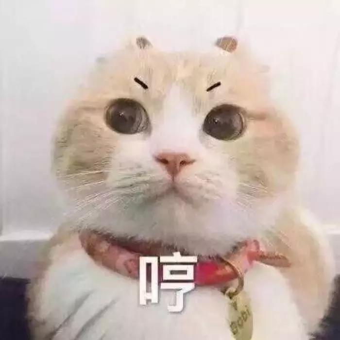 女生包包推荐便宜,便宜的包包有市场吗