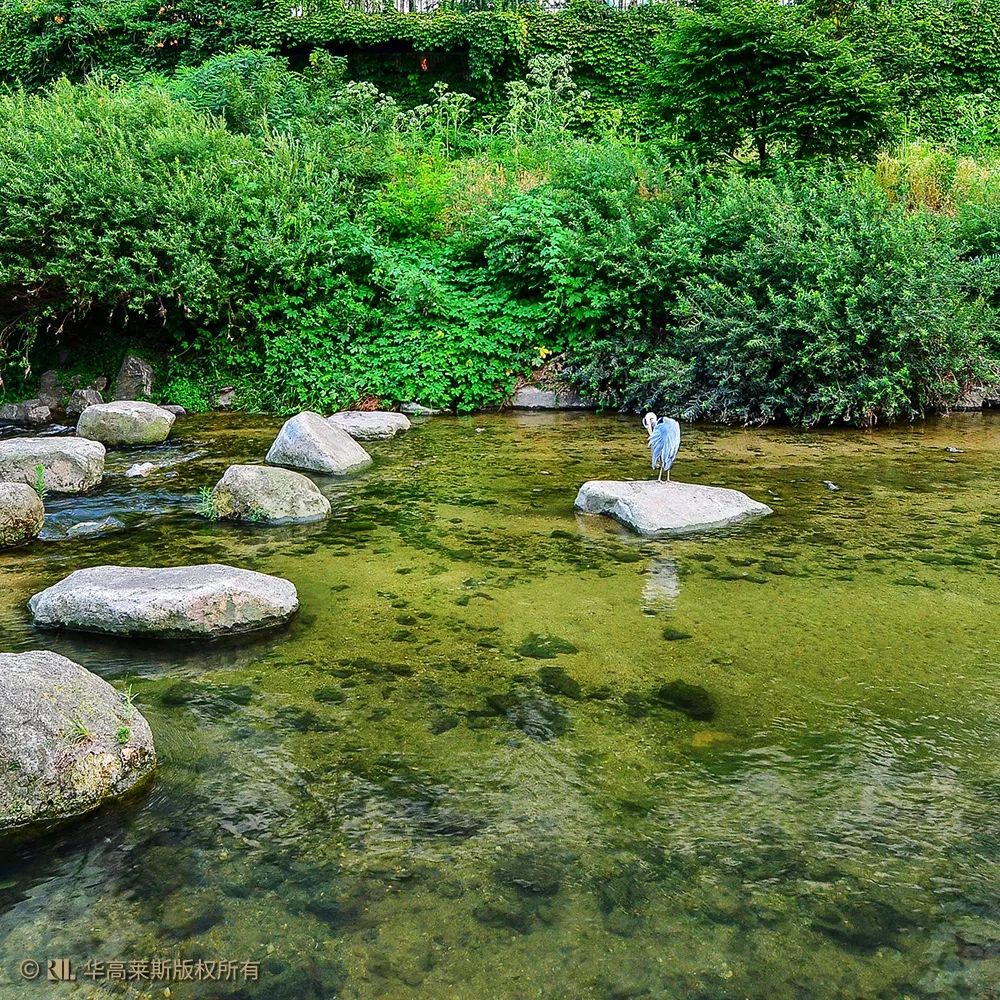 〖丈量城市〗大拆小建的「生态经济学」：清溪川