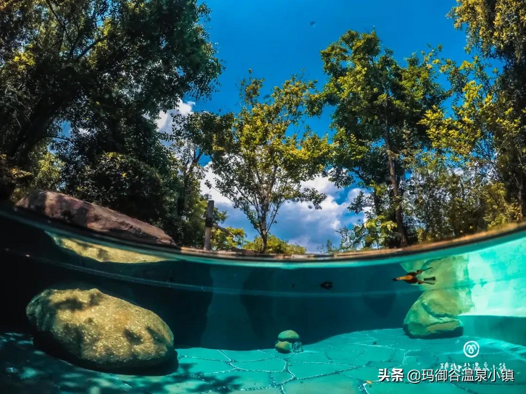 在腾冲，我们买什么？