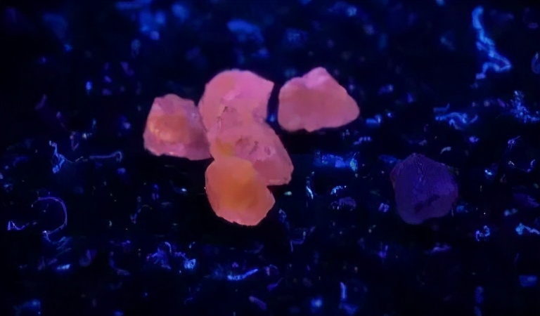 宝石切尔西蓝色妖姬,蓝色妖姬珠宝值钱吗