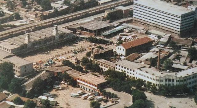 一头死猪牵出24具女尸案完整,一头死猪牵扯出24条命案