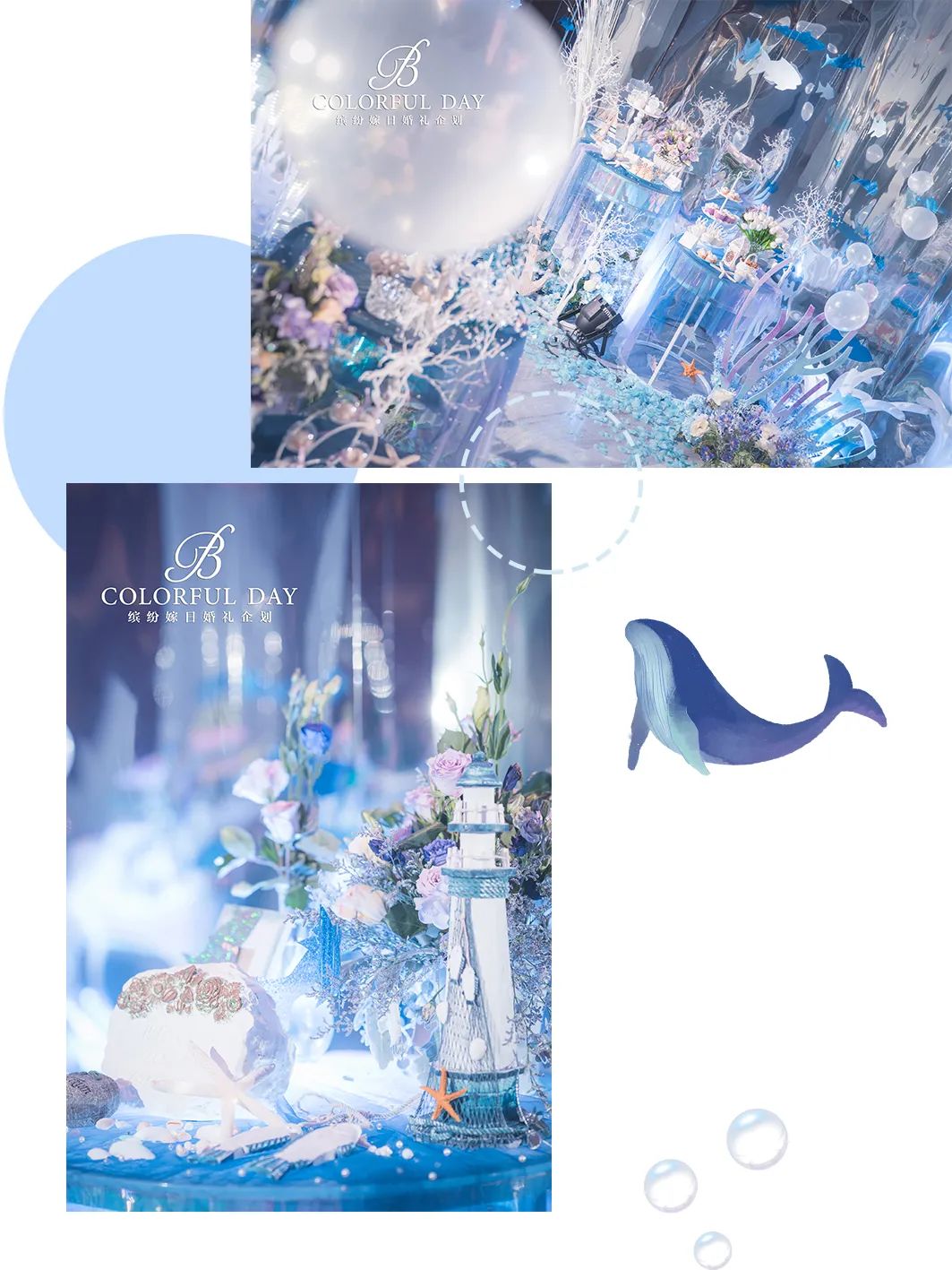 神秘海洋系婚礼,神秘海洋婚礼