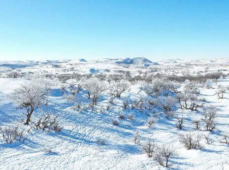 李诞懒蛋,李诞懒惰合集