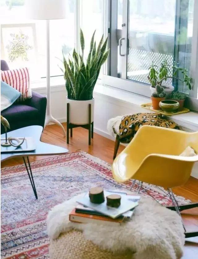 乏味的生活被你治愈,解决平庸枯燥乏味生活的办法