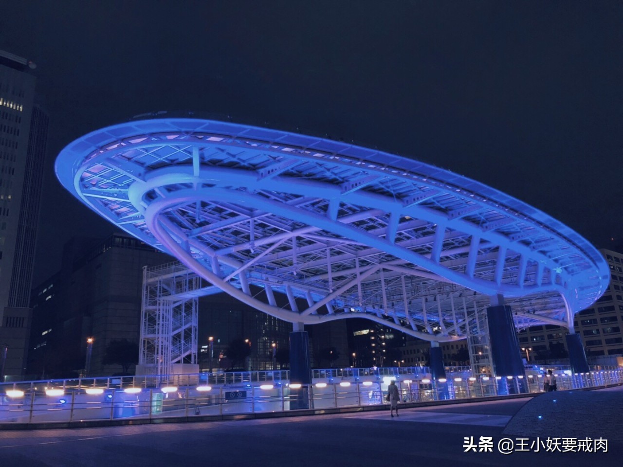 日本自由行攻略7天旅游,日本自由行攻略十大必去景点