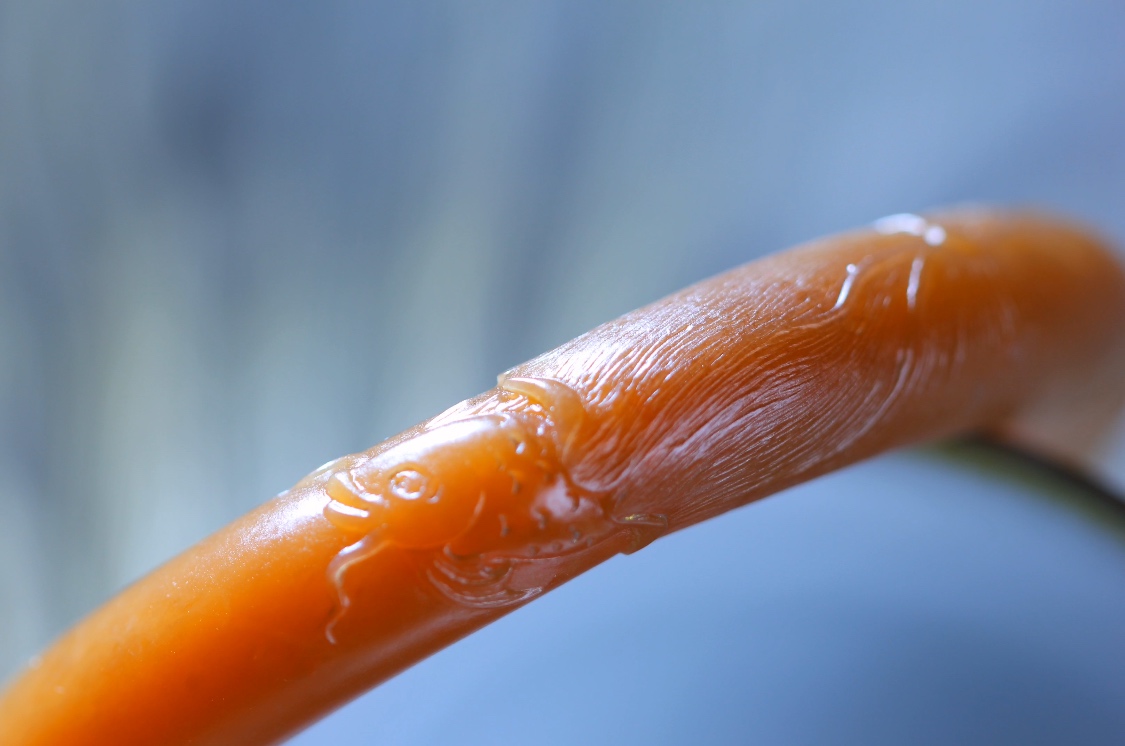 新疆山料为什么比籽料便宜,为什么玉友喜欢新疆料