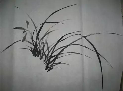 国画入门山石画法兰花,兰花小鸡国画写意画法