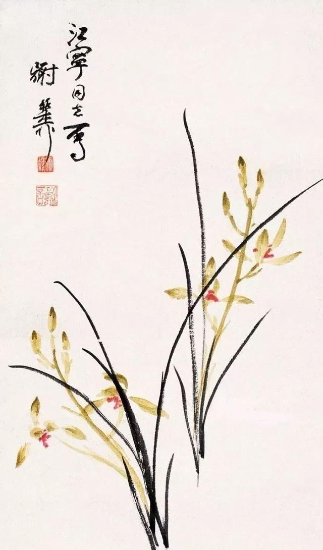 淡彩兰花100幅,顶级淡彩兰花图片