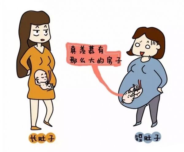 怀孕5个半月不显怀怎么回事,怀孕5个月肚子不显怀什么原因