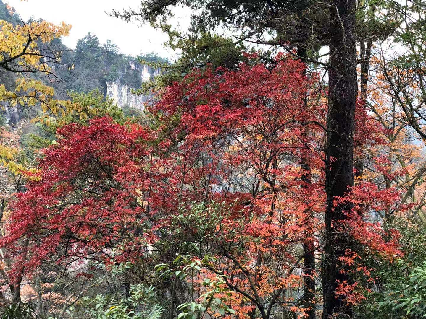 光雾山蜀门秦关,蜀门秦关到光雾山