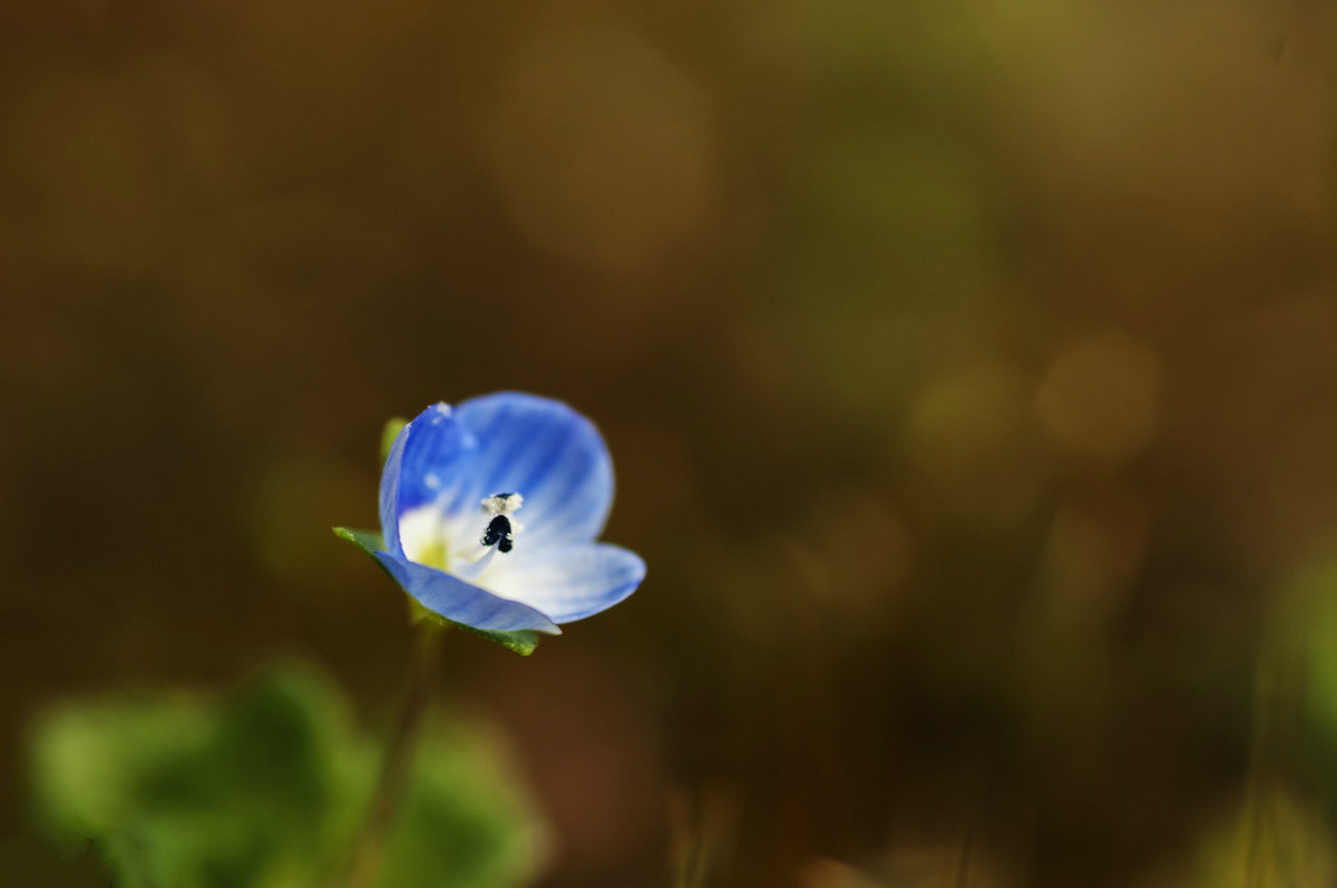 身上有刺的人,才能保护好自己,你的善良,一定要带些锋芒