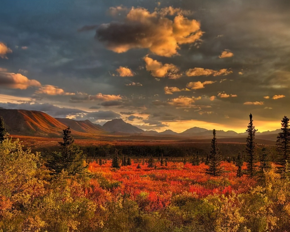 莫言老师的文学之难,莫言老师的经典语录