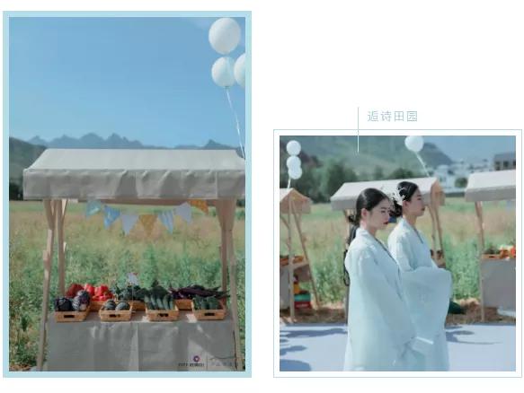 以文化引领促乡村振兴,万力武夷山康养旅游基地