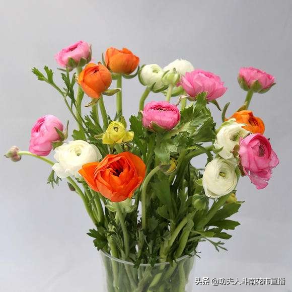 昆明鲜花一件代发对花店有影响吗,云南昆明鲜花一件代发合作平台