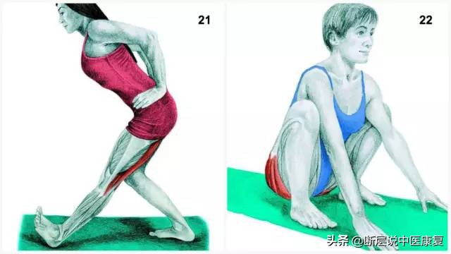 搏击肌肉拉伸图谱,最全的肌肉拉伸图谱