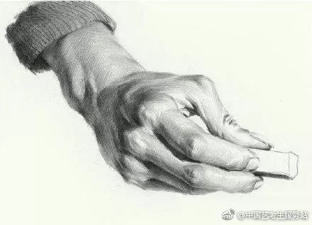 优质素描,优质素描静物