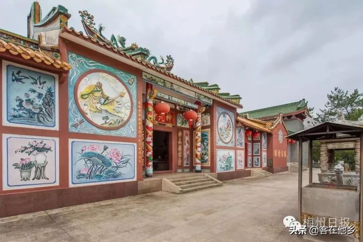 本港台播放过的动画,本港台曾经推出的纪录片