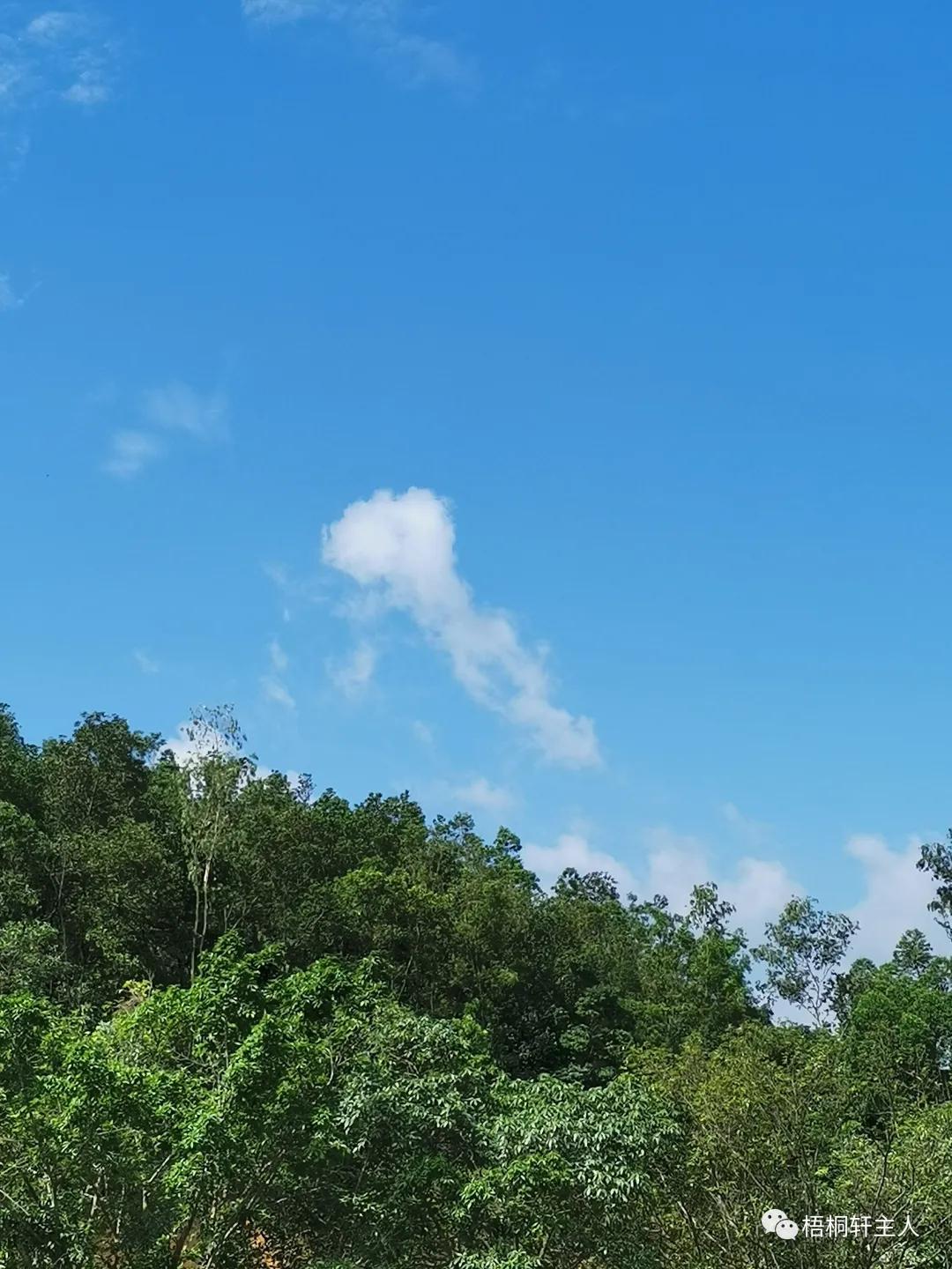 五彩斑斓秋之美,最美广州秋