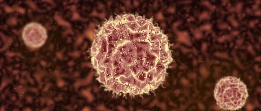 知识手册丨全面了解卵巢癌，点这里