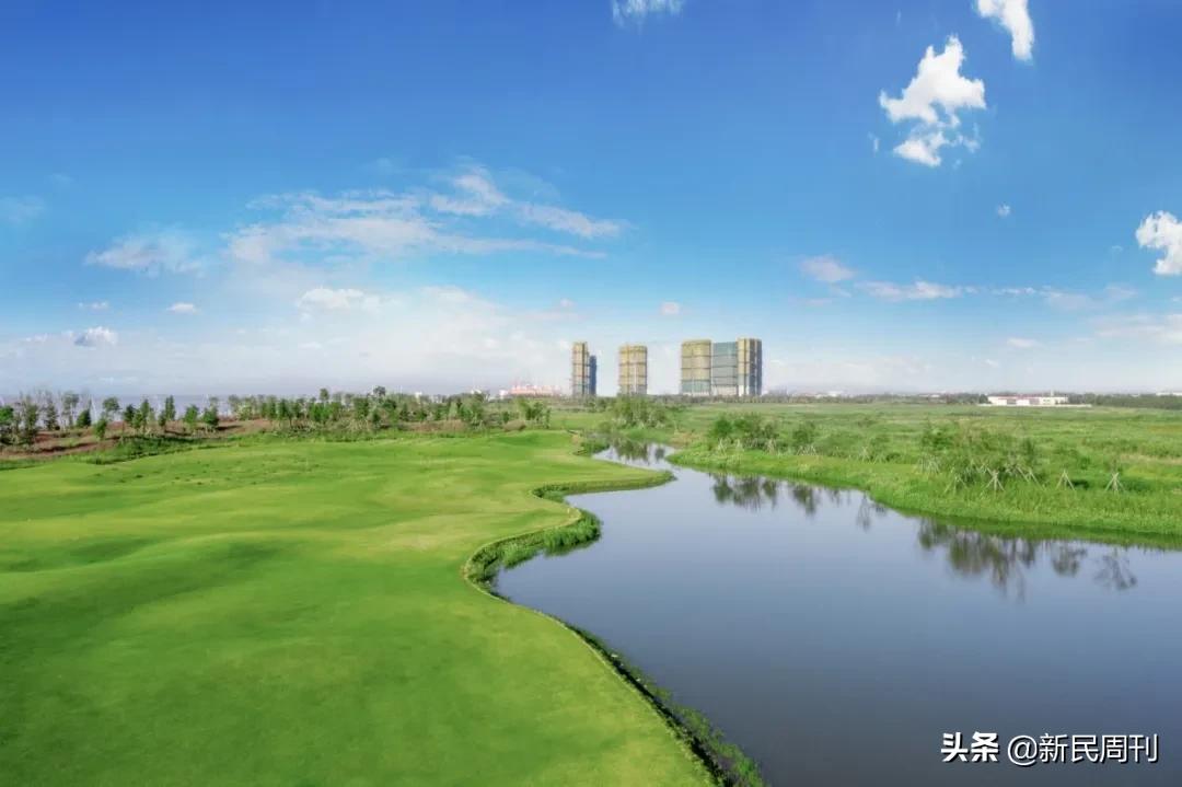 新湖携绿城,海上明月共潮生