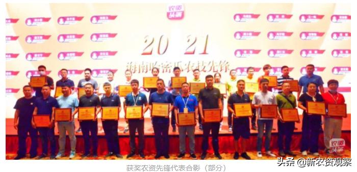 海南哈密瓜大市场,海南哈密瓜市场前景